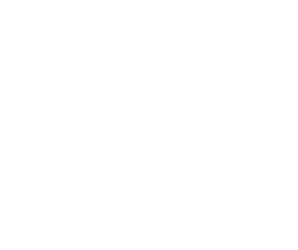 logo handicap 22